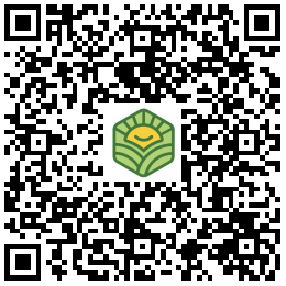 辽宁早稻课堂